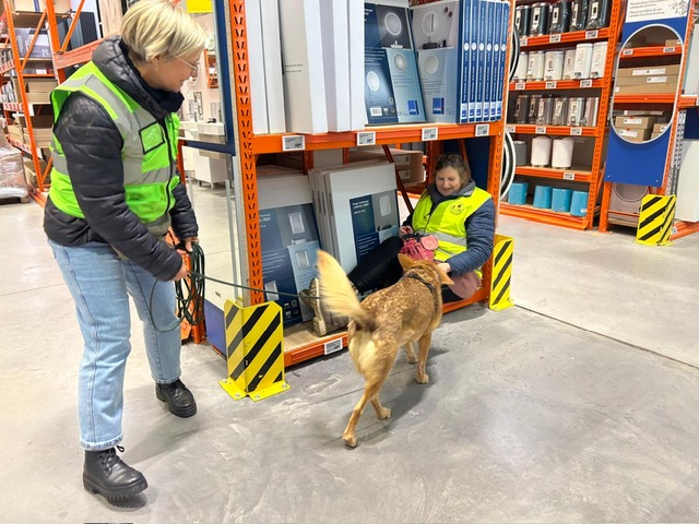 6e71f00b-4995-4b0a-acb4-f1c18cae418b