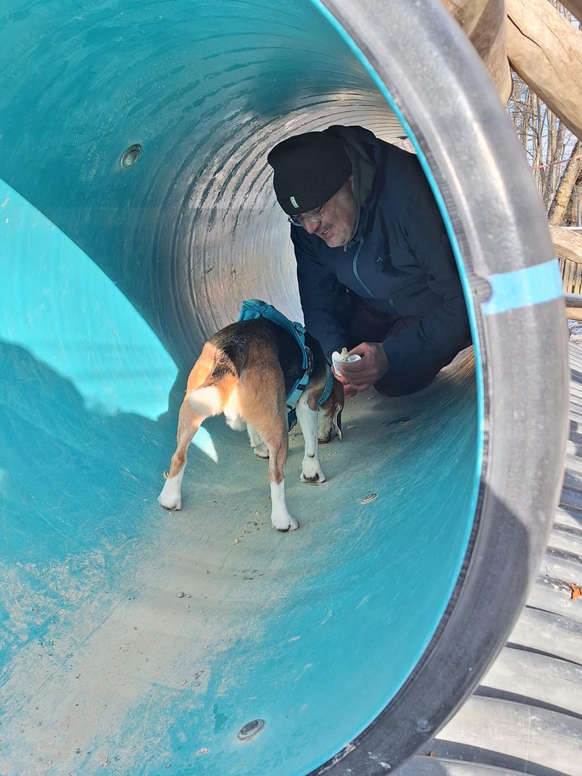 902a6ea2-f043-4e9f-8fa1-5f35dc825c9d