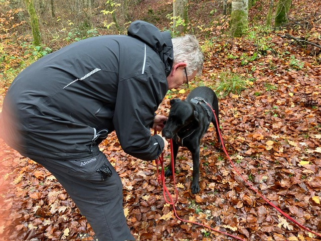 e72cb0a8-1994-4b9e-8410-aa6e9b742df0