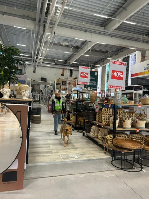 eeba1ccf-9c07-4d5e-b326-ed8b5b348802