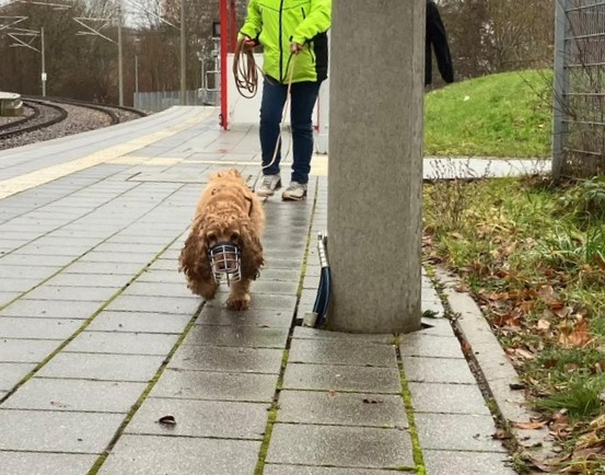 55c82319-abe1-44e5-ae45-2815be1692d1