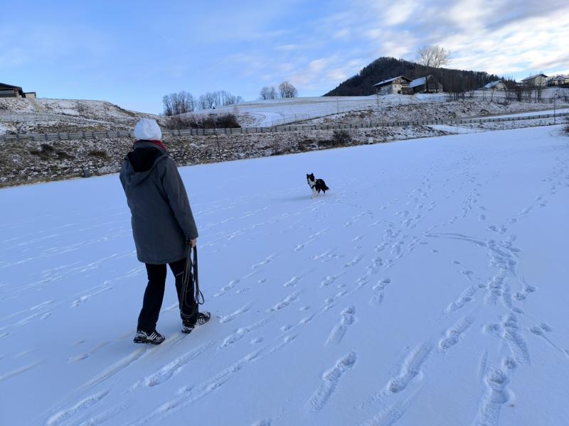 IMG_20251231_144030_1