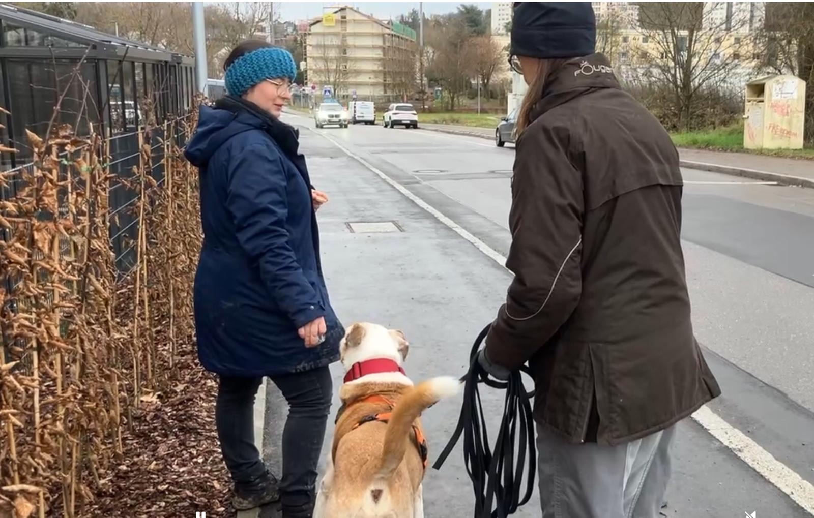 c7af38d0-bcce-4701-a53c-b147f480c832