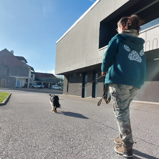 06f46723-50f2-4e65-949d-49a608d70775