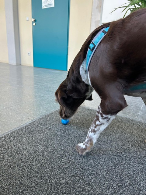 127024dd-6f90-47ad-b4f2-e3e48dd757c3