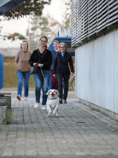 493cfb6b-cb94-4a0e-8a3c-50c78cdd929a