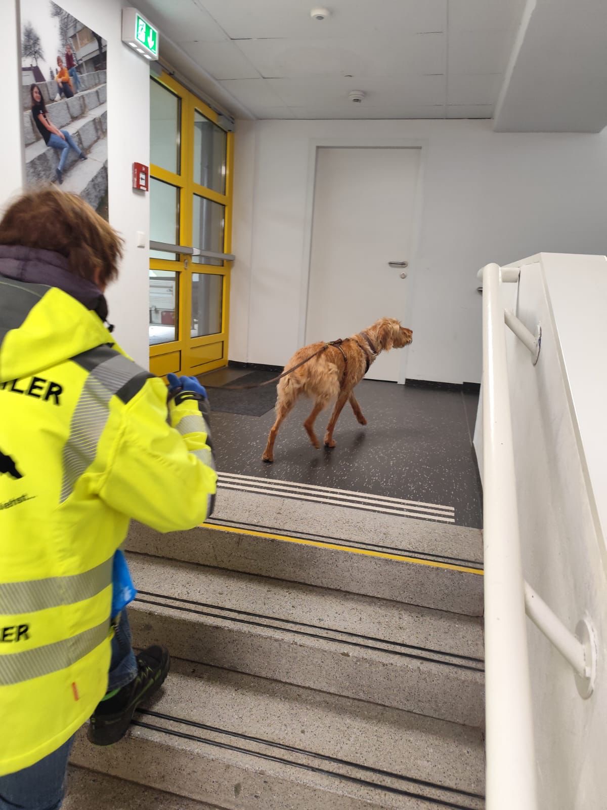 52751830-6bc9-495e-b8ed-3eae90c555da