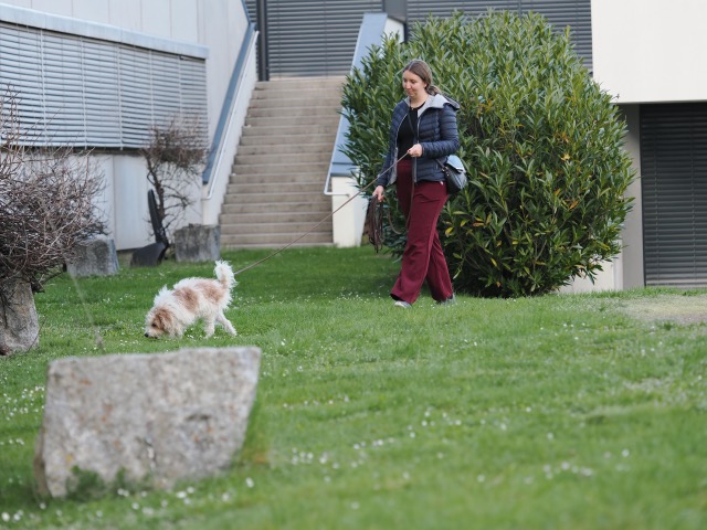 dc5153e1-ca3c-423e-b841-3f6b1be55c4d