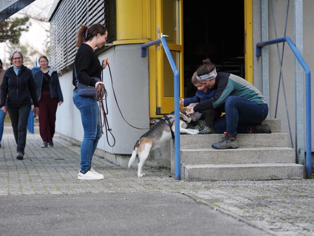 e48a4f30-ce3f-4b16-a7d7-8a3d0a3a3551